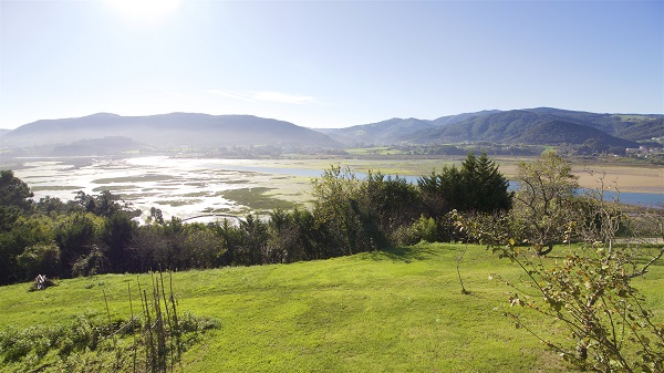 Reserva de la Biosfera de Urdaibai (Vizcaya). / Roman San. 