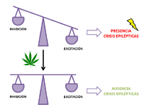 Cannabis medicinal: la gran esperanza de las familias que conviven con la epilepsia infantil