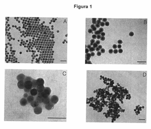 Micrografía mediante microscopio electrónico de transmisión(TEM) de nanopartículas monodispersas:(A) NaYF4:Yb,Er, (B) NaYF4:Yb,Er@Si02, (C) NaYF4:Yb,Er@PAA, (D) NaYF4:Yb,Er@azelaico