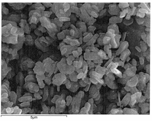 Micrografía de Microscopía Electrónica de Barrido, MEB, del material SrFel2019