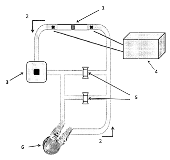 Muestra un esquema del circuito hidraulico con los siguientes elementos: arteria sensorizada con microhilo (1), flujo de fluido (2), sello para resistencia hidraulica (3), man6metro (4), valvulas para resistencia hidraulica (5), dispositivo para asistencia ventricular (6)