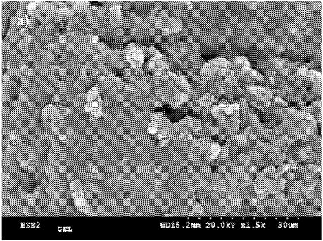 Imágenes de microscopio electrónico de los materiales obtenidos por precipitación de condensación de poliamida como microestructura similar a una esfera.