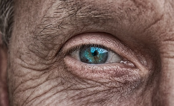 El ojo es una ventana, una proyección del cerebro. / analogicus