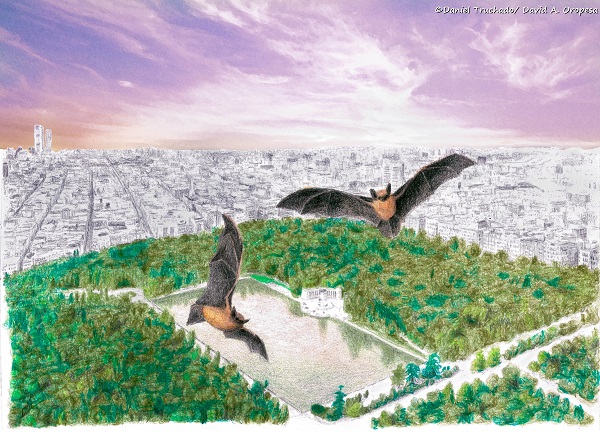 Ilustración de murciélagos sobre el parque de El Retiro de Madrid. / Daniel Truchado y David A. Oropesa.