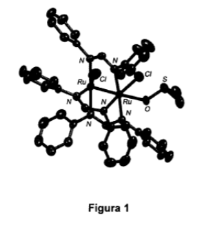 se indican los atomos de rutenio (Ru), nitr6geno (N), cloro (Cl), oxigeno
20 (0) y azufre (S). Los atomos de carbono no estan etiquetados y los atomos
de hidr6geno han sido omitidos por claridad.