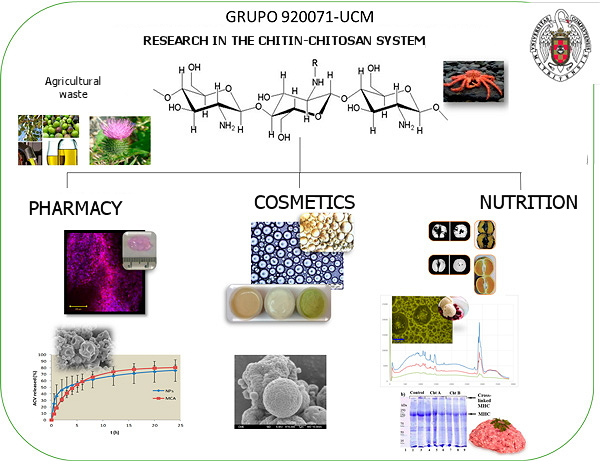 Esquema de oferta tecnológica del grupo Investigaciones en el sistema quitina quitosano.