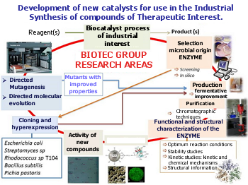Research areas of BIOTEC group