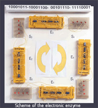 Electronic Enzyme.