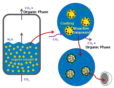 Nanoencapsulation process using ESE technology.