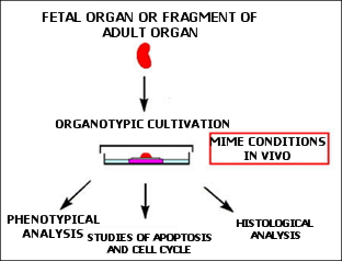 Organic culture and some of its applications.