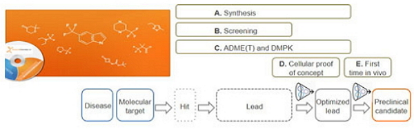 Stages of the preclinical phase in a medical chemistry drug discovery program