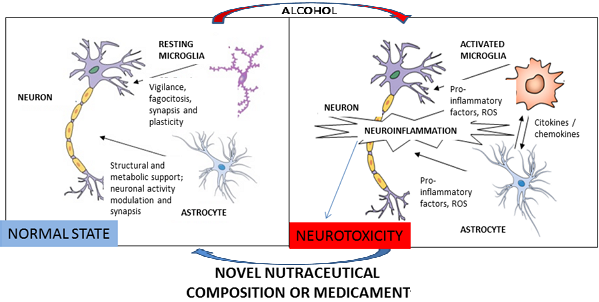 Alcohol abuse alters the brain homeostasis inducing neuroinflammation, which involves the activation of microglia and release of pro-inflammatory and oxidant components (ROS), which can affect the neurons. When neuroinflammation become chronic it may induce neurotoxicity and brain damage. The novel nutraceutical composition or medication prevents the alcohol-induced neuroinflammation and brain damage, as well as certain alcohol abuse-associated behaviors such as anhedonia, anxiety and depression-like behavior.