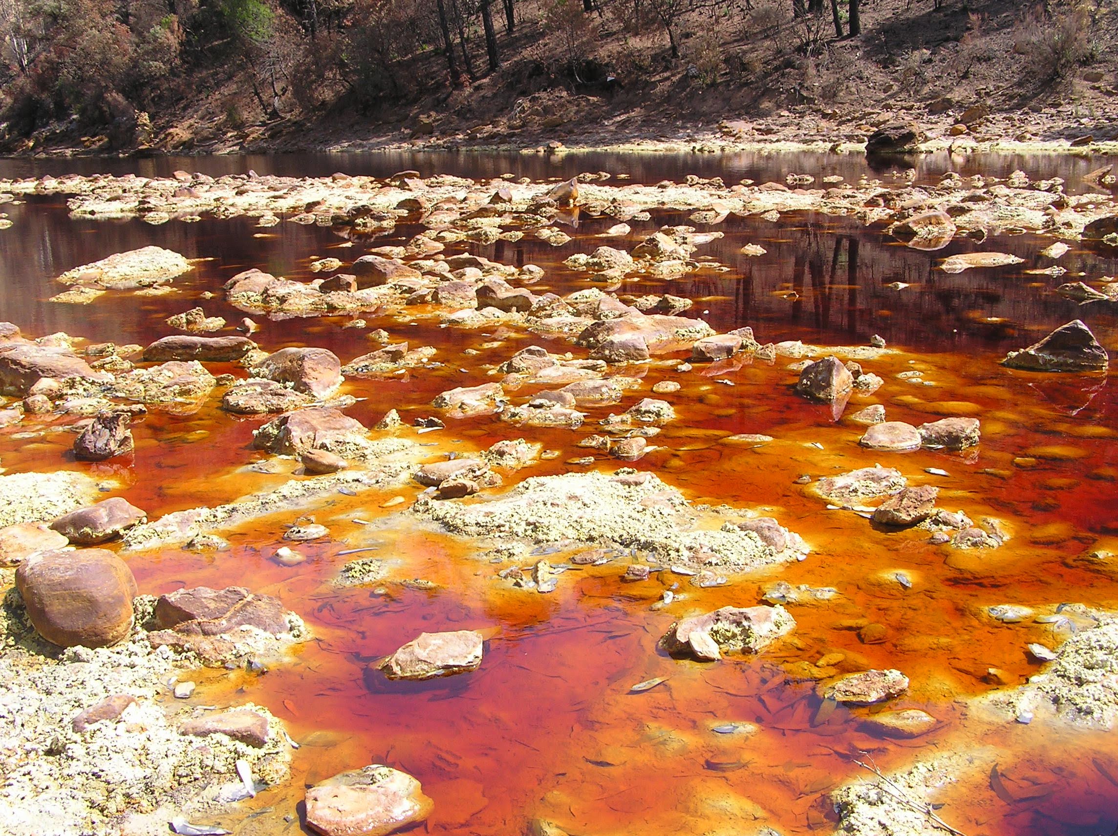 Contaminacion de aguas por explotación mineras, río Tinto. Esperanza Montero)