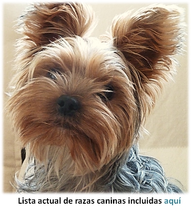 Lista de razas caninas