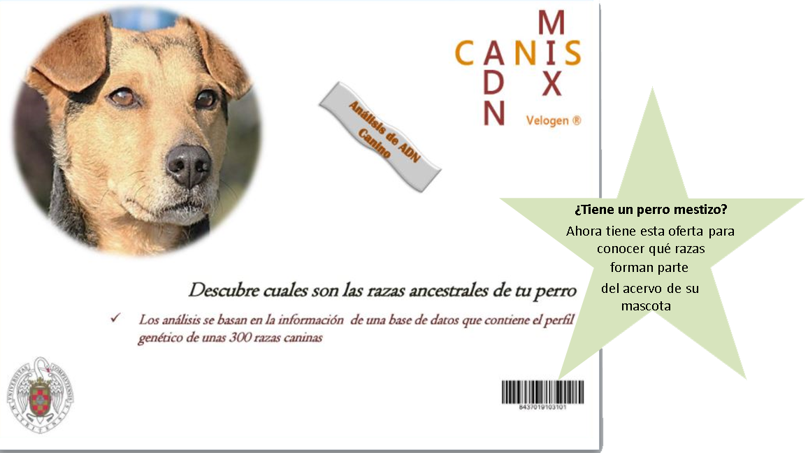 Oferta razas ancestrales perros