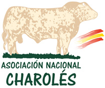 logo charoles