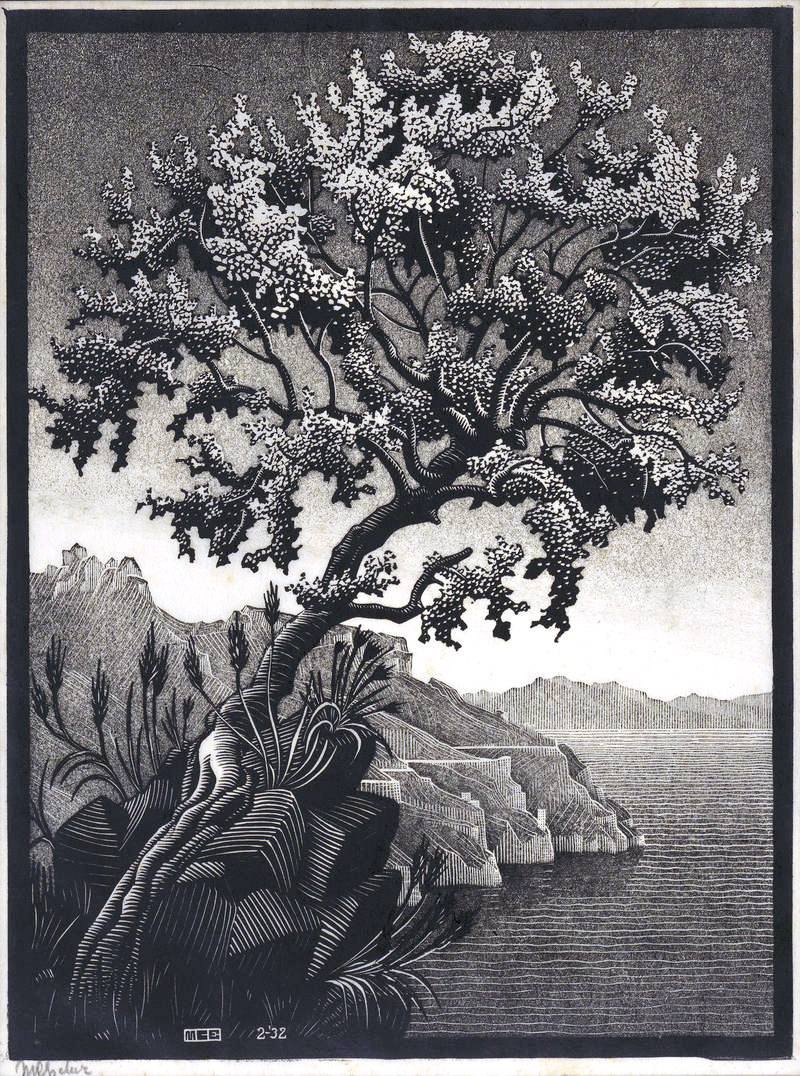 MC Escher-Algarrobo-1932