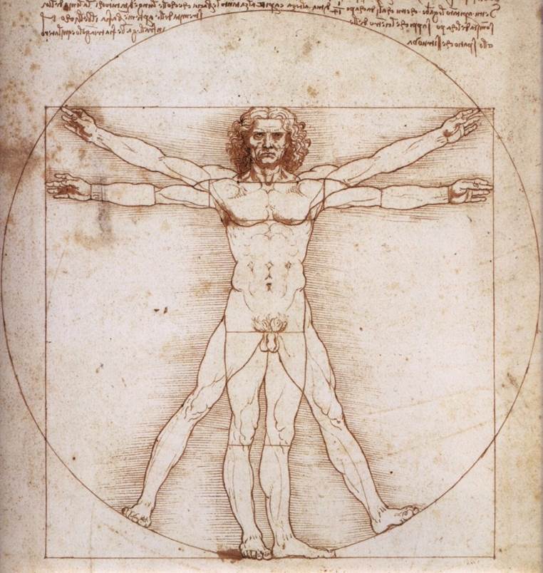Hombre de Vitruvio. “Canon de las proporciones humanas” 1492. Leonardo da Vinci