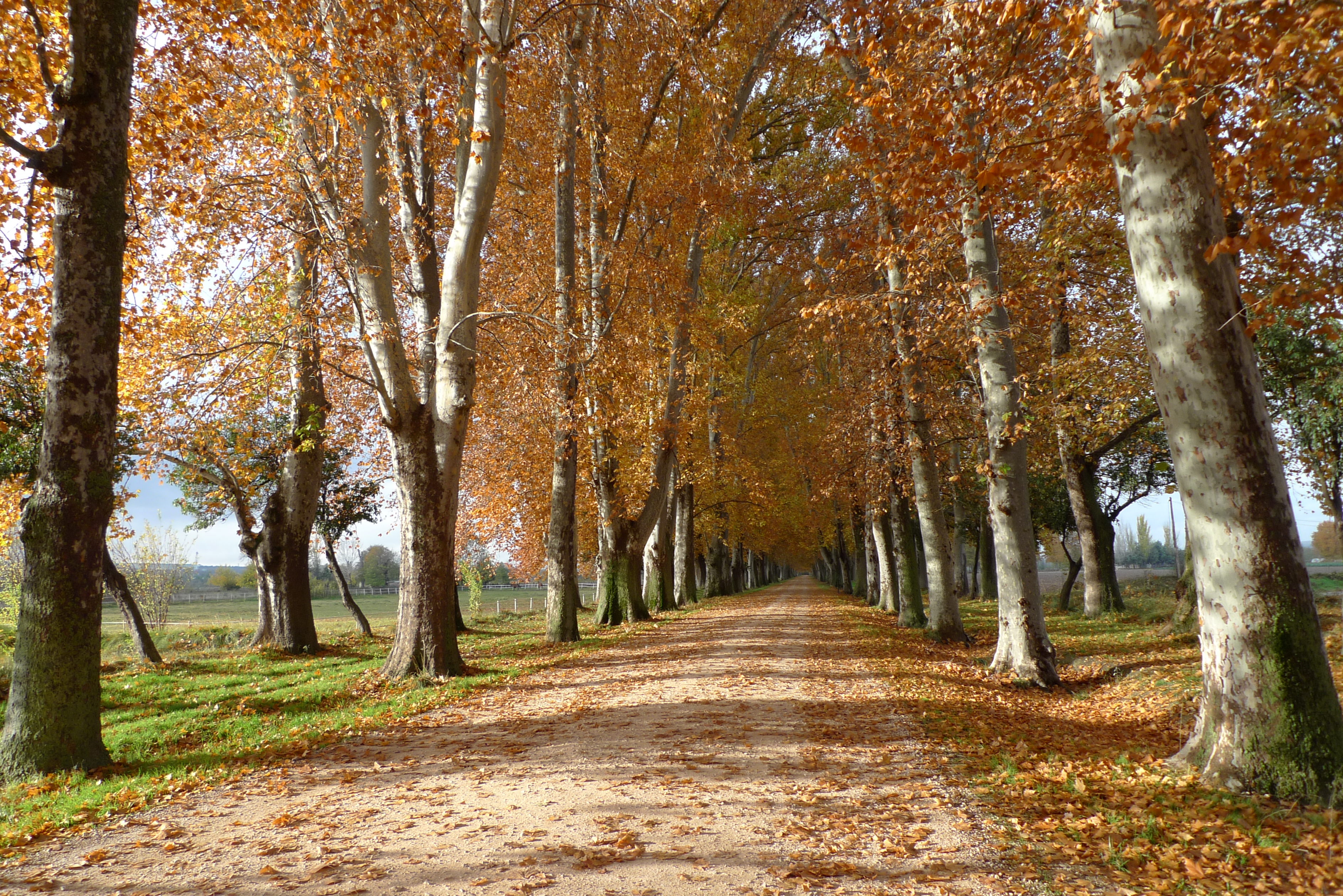 Aranjuez Paisaje Cultural de la Humanidad, UNESCO-2001