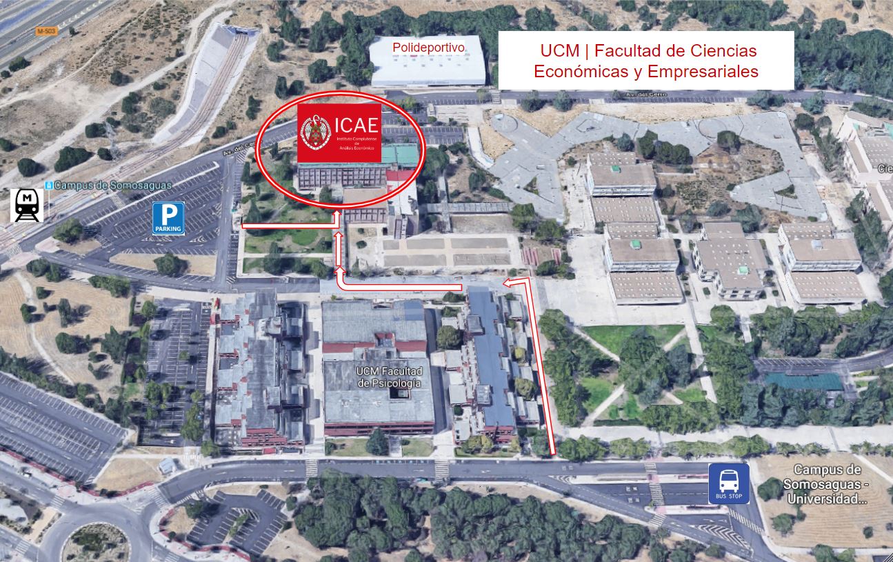 Instituto Complutense De Analisis Economico Icae