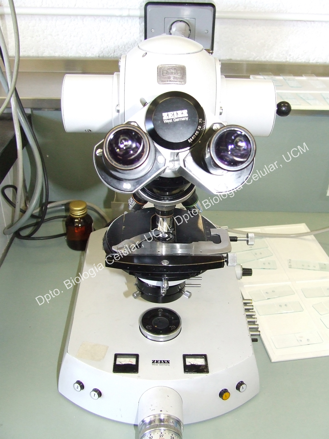 MIcroscopio