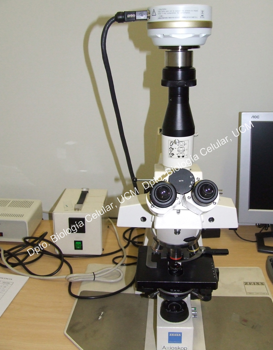 Microscopio fluorescencia