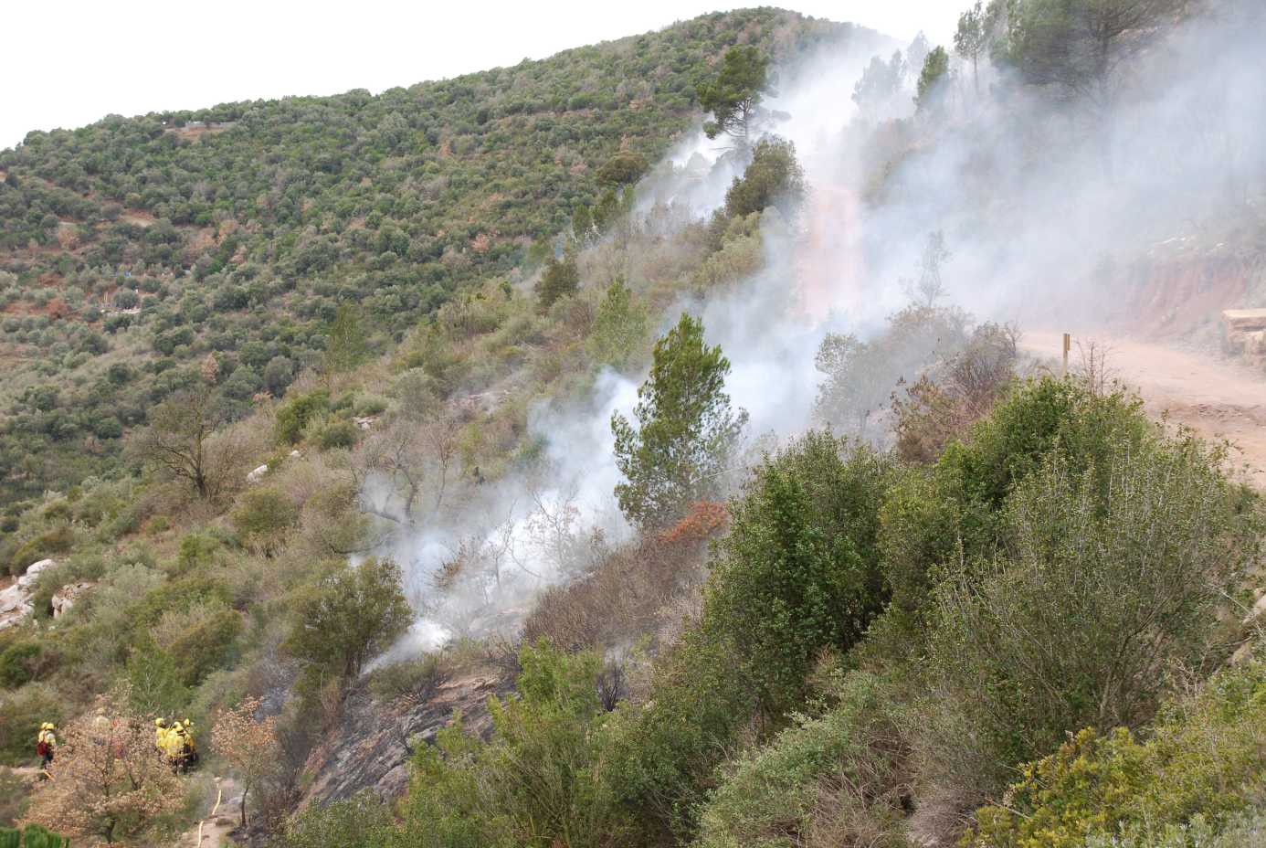  - 924-2018-06-03-t-forestal.jpg