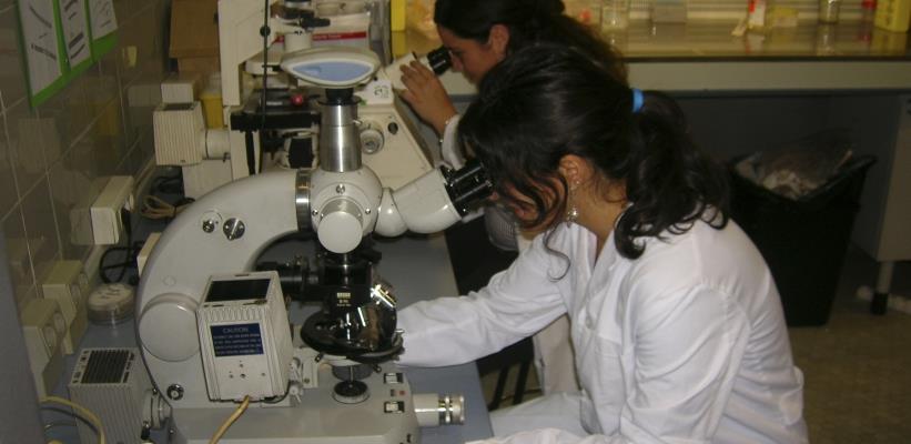 II Jornada de investigación del Departamento de Pediatría