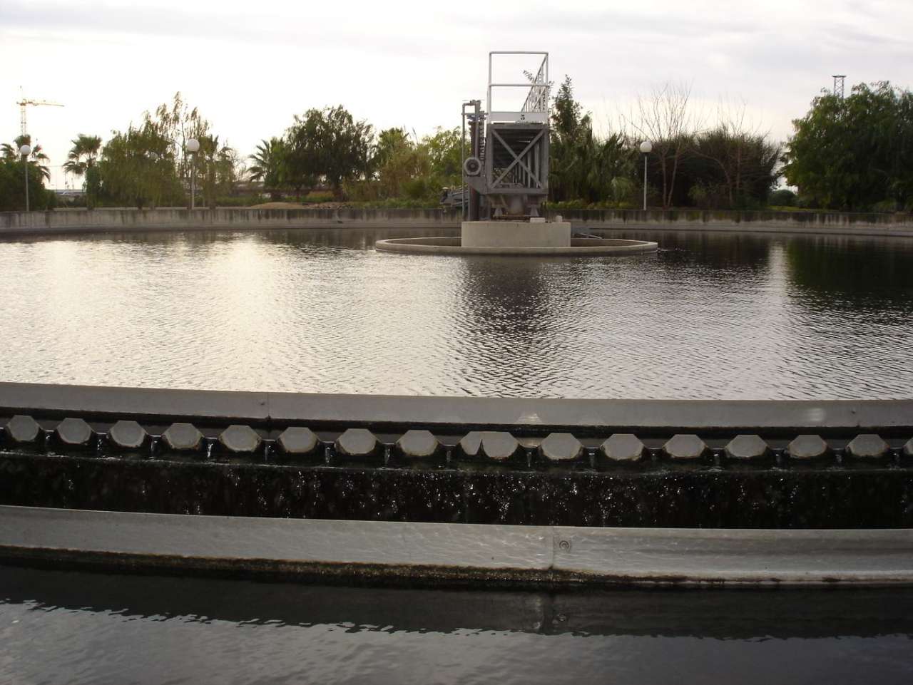 ABIERTA LA CONVOCATORIA  SEGUNDO PLAZO DE ADMISIÓN AL MÁSTER EN BIOTECNOLOGÍA INDUSTRIAL Y AMBIENTAL DEL 28 DE ABRIL AL 26 DE MAYO 2025