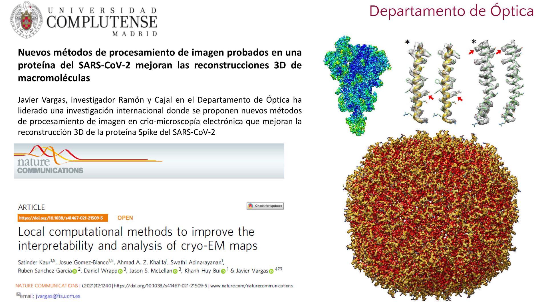 Nuevos métodos de procesamiento de imagen probados en una proteína del SARS-CoV-2 mejoran las reconstrucciones 3 D de macromoléculas