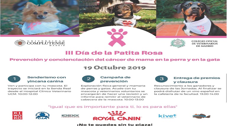 III Jornada de prevención y concienciación del cáncer de mama en la perra y en la gata