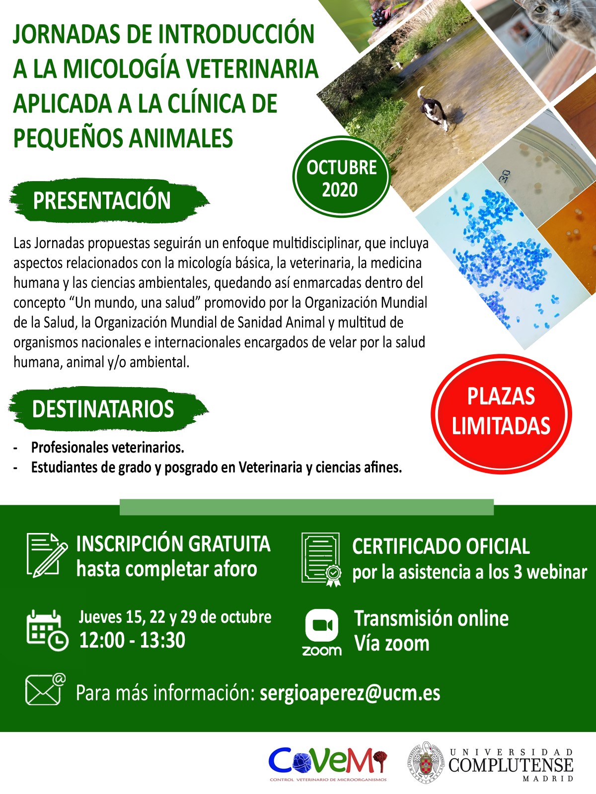 Jornadas de Introducción a la Micología Veterinaria Aplicada a la Clínica de Pequeños Animales