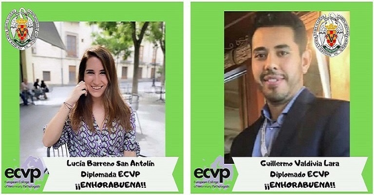 Dos nuevos patólogos Diplomados por el  ECVP (European College of Veterinary Pathologists)