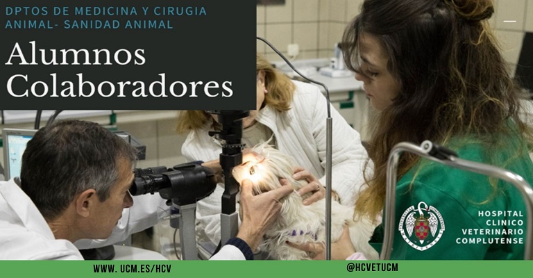 Alumnos colaboradores del Hospital Clínico Veterinario Complutense: Una experiencia enriquecedora para la formación veterinaria.