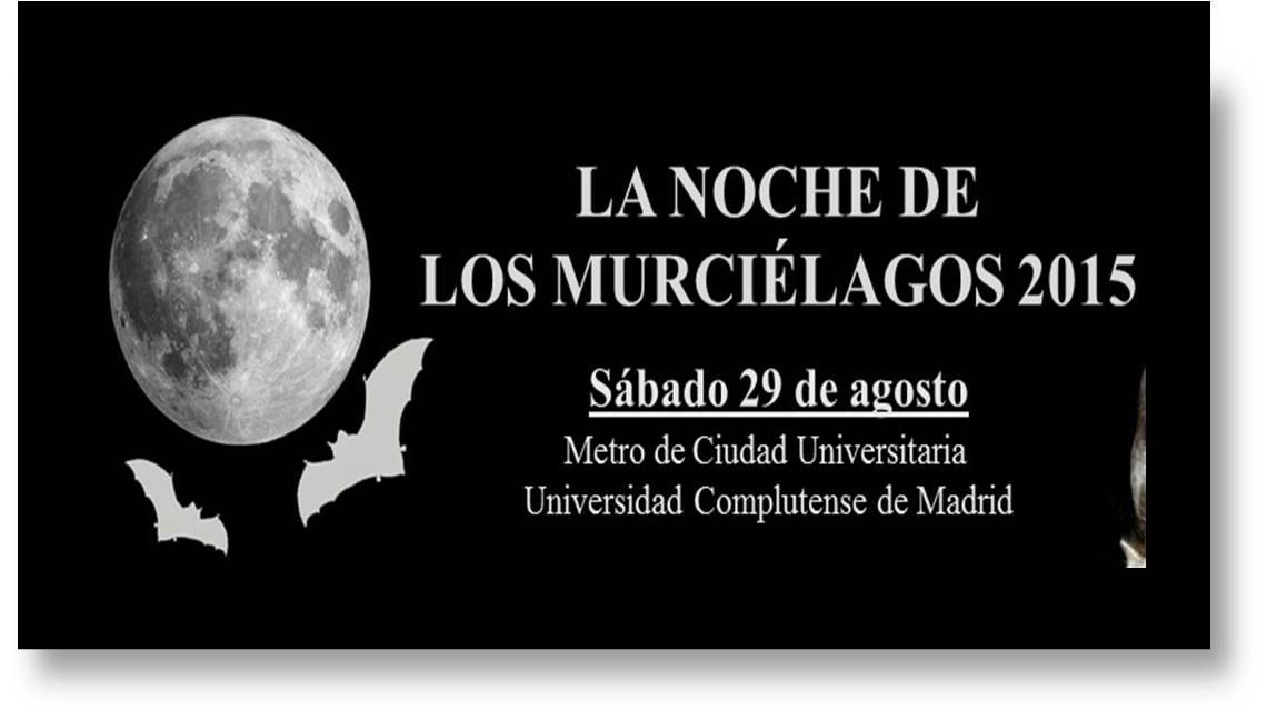 Noche Internacional de los Murciélagos - Batnight