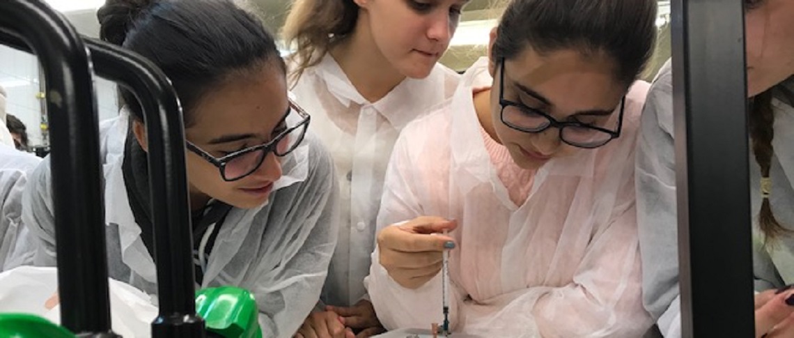 Juega (y aprende) con la ciencia en su gran semana