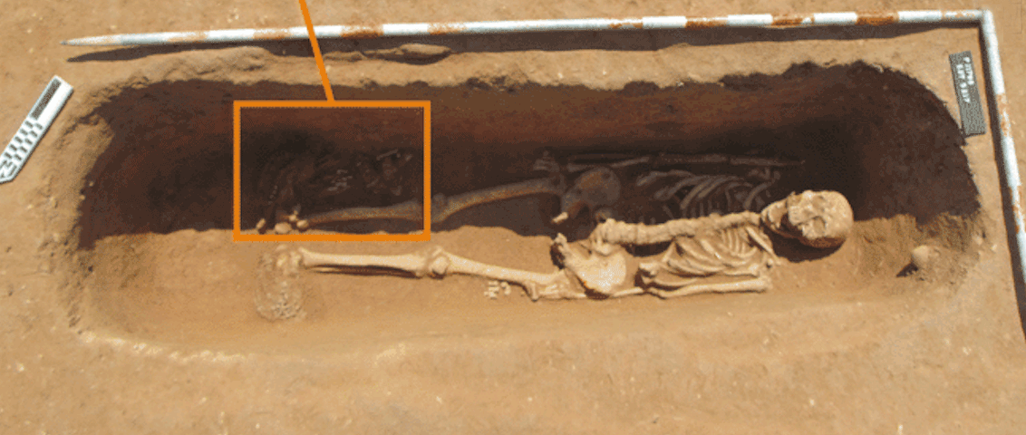 Restos óseos de faisanes junto a humanos sugieren variaciones en los rituales de enterramiento en la época romana