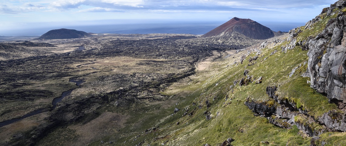 Revelan la conexión entre la flora de las islas subantárticas y las masas continentales del hemisferio sur