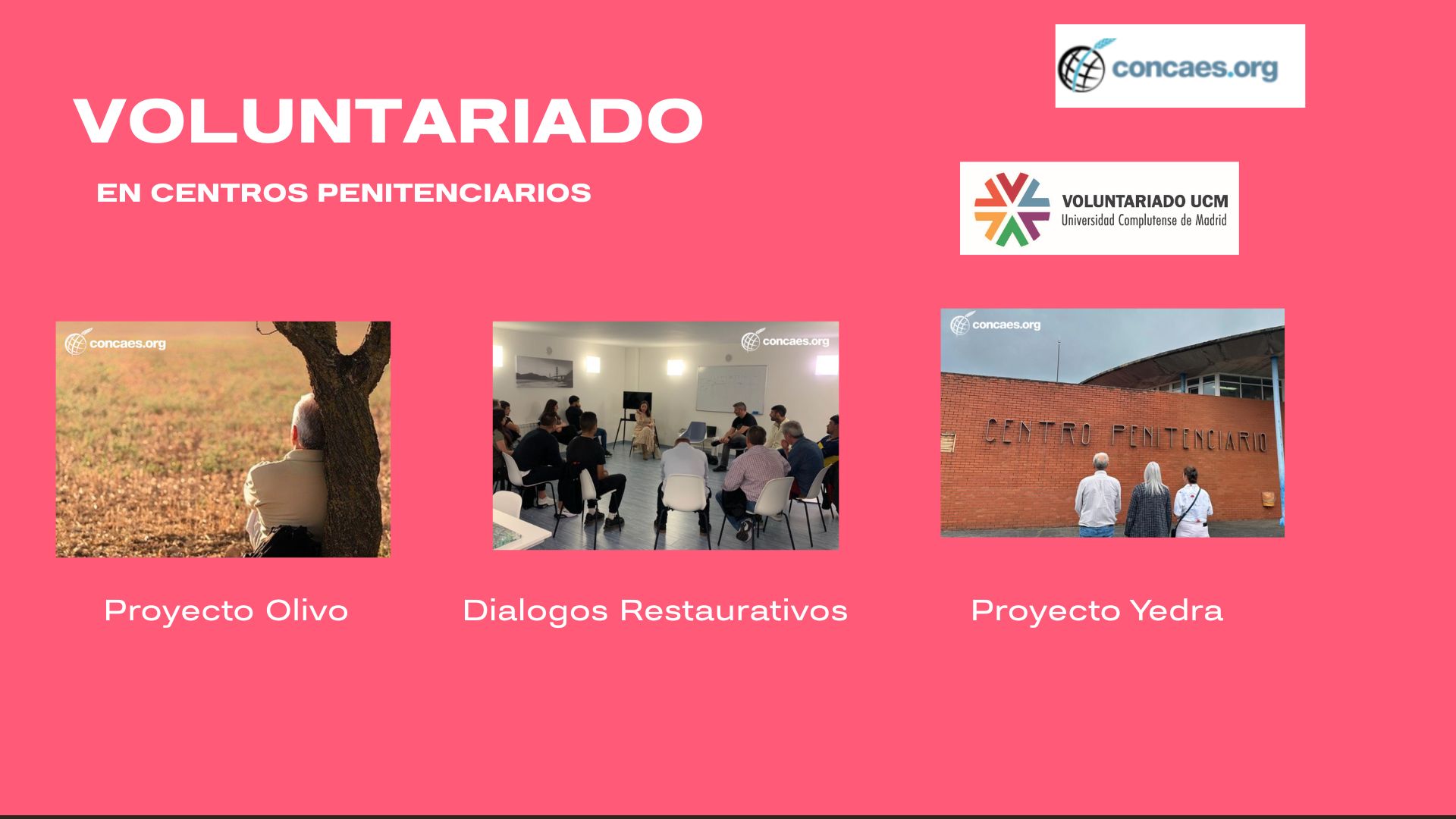 Voluntariado CONCAES 