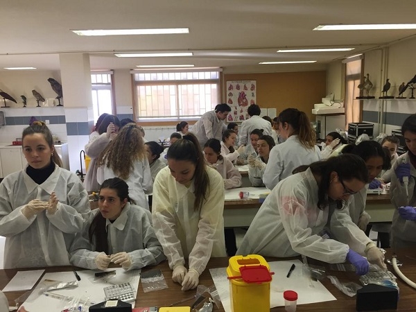 La AEMPS premia “MicroMundo”