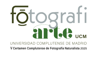 Abierto plazo de inscripción hasta el 17.07.25