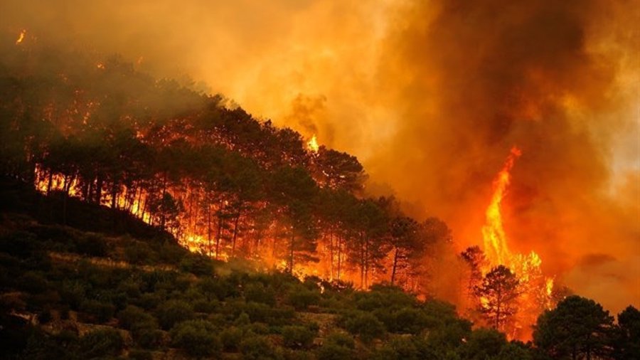 De la primera a la sexta generación de incendios forestales