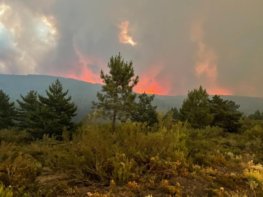 Incendios forestales y olas de calor: un problema político 