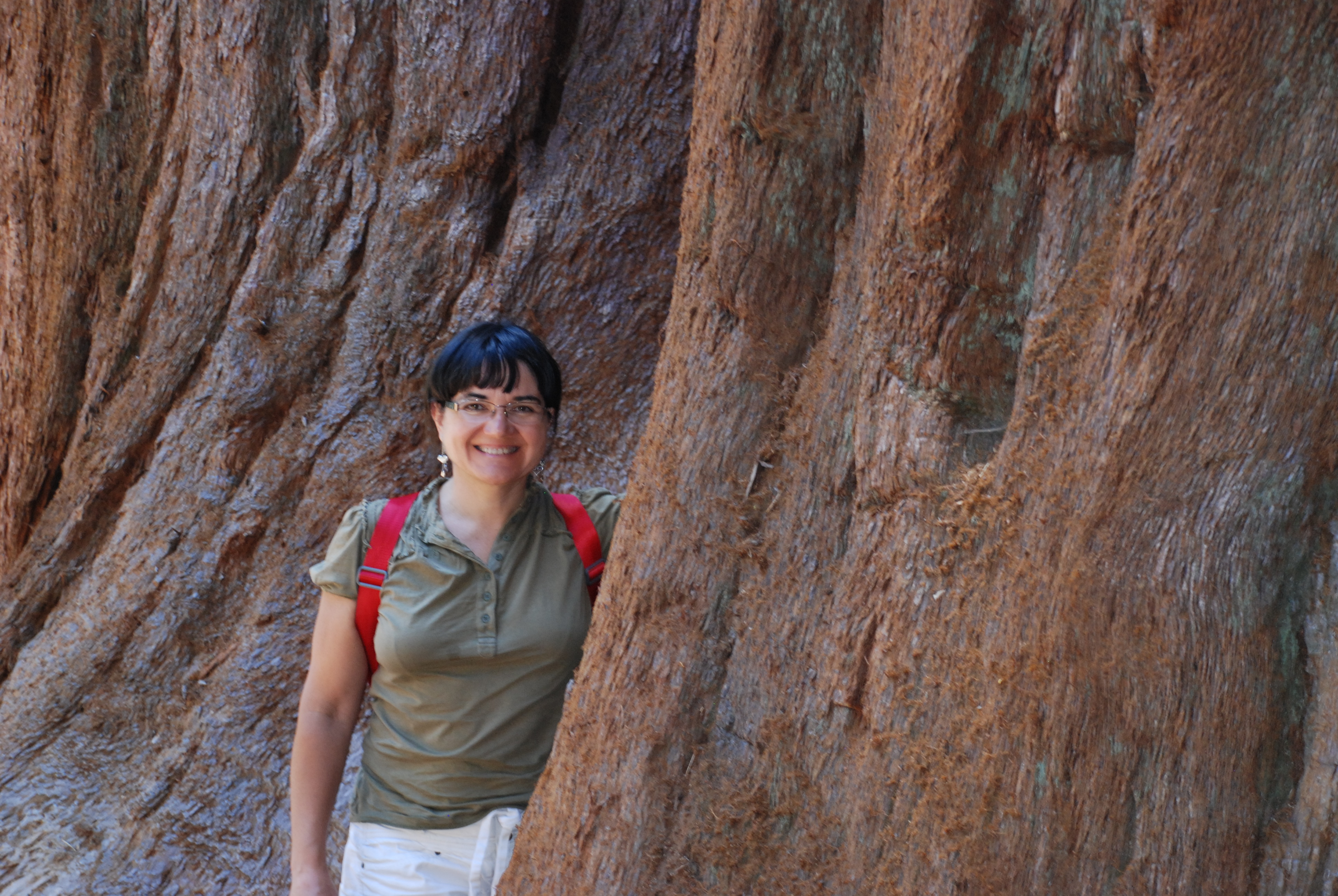 Recognizing Women Leaders in Fire Science