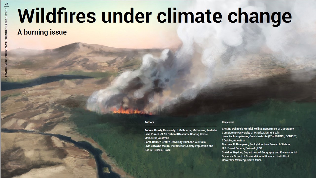 Wildfires under climate change