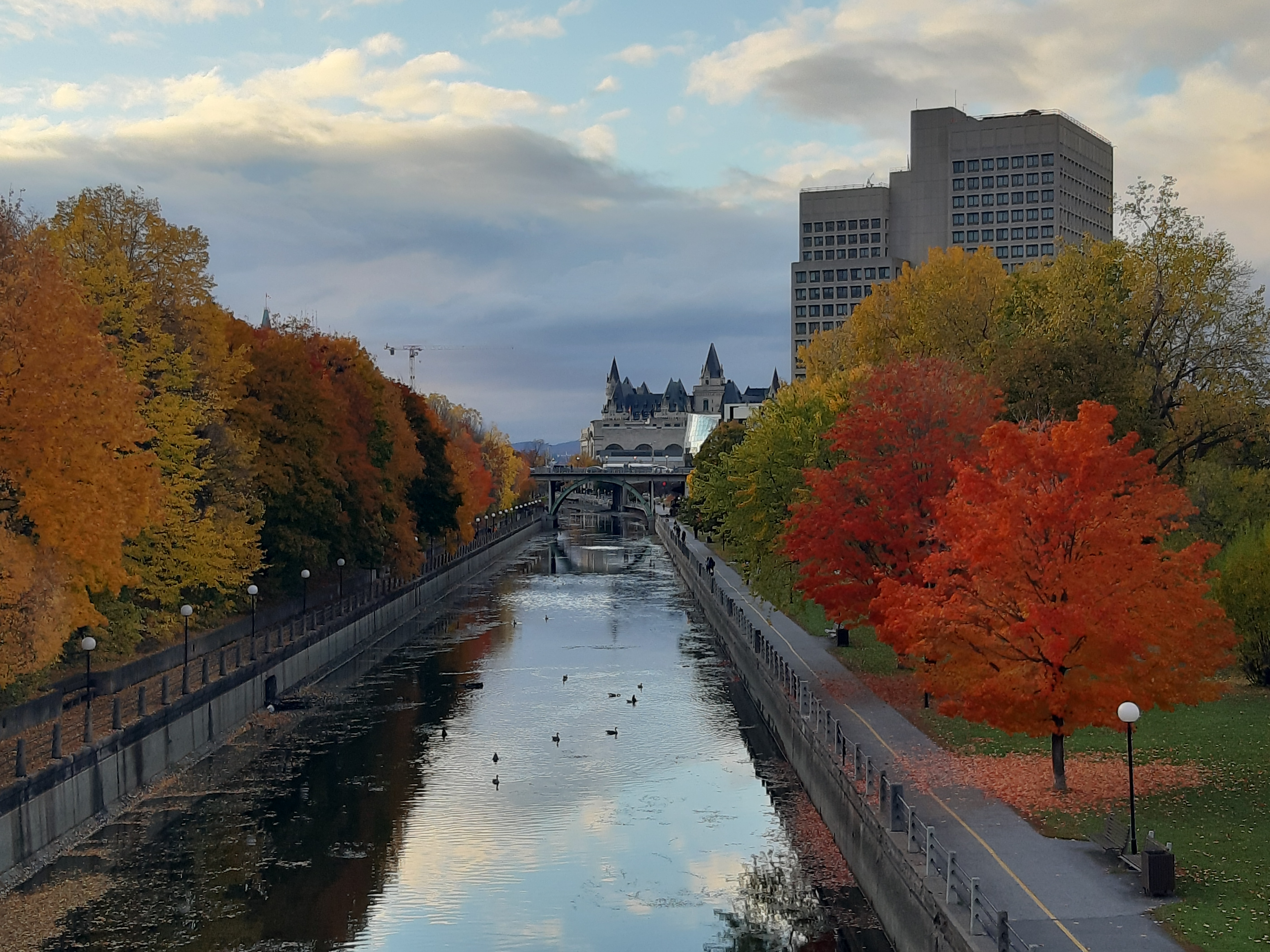 Visiting Academic at the University of Ottawa