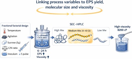New publication:Linking process variables to exopolysaccharide yield, molecular size and viscosity in Leuconostoc citreum CNTA 860 fermentation