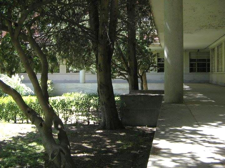 El Mundo Ranking: English Studies