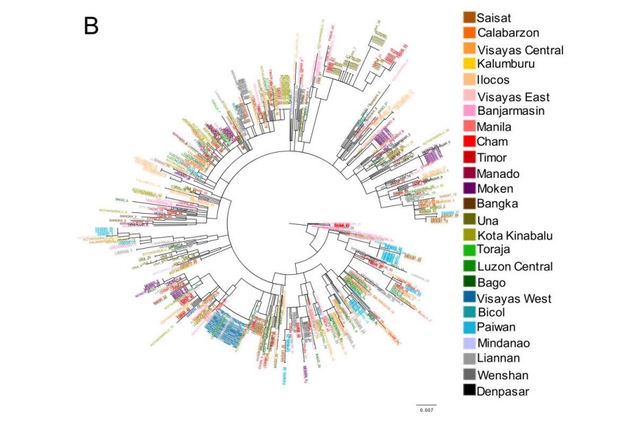 Publicaciones - Consequences of the Last Glacial Period on the Genetic Diversity of Southeast Asians