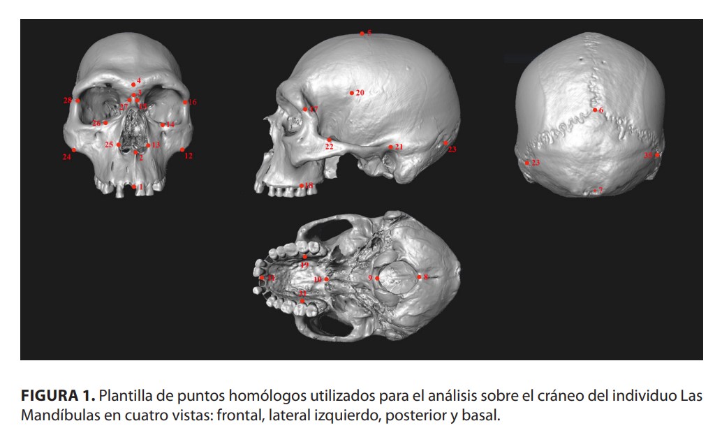 Publicaciones - Error intermétodo en morfometría geométrica 
